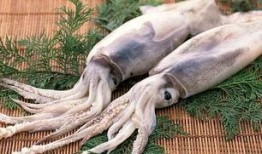 鱿鱼最新爆料视频在线观看,揭秘最新爆料视频，剧情反转引热议