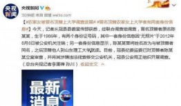 铁岭大脑袋爆料案件最新,揭秘背后惊人真相