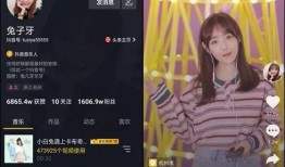 小兔爆料视频大全,揭秘娱乐圈幕后故事