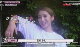 开心吃瓜小说免费阅读,免费阅读，畅享小说盛宴