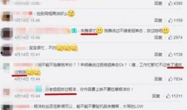 婉儿博主爆料了吗视频播放,视频播放背后的秘密大揭秘