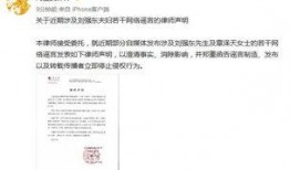离婚律师爆料案例最新消息,最新案例揭示婚姻破裂背后的惊人真相