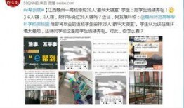 赣州高校爆料事件最新消息,真相与争议交织的校园风云