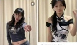 爆料最狠女律师视频播放,最狠女律师视频播放背后的惊人真相