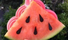 西瓜爆料网红炒作视频,网红炒作视频揭秘，真相令人咋舌