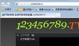 辽宁电视直播在线观看,实时掌握辽宁地区精彩节目