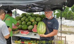 吃瓜的台湾网红是谁啊,吃瓜成瘾的台湾网红是谁？