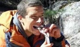 食物链在线观看神马,神马视频带你领略生态平衡之美