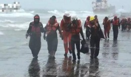 海员真实爆料视频大全集,海员爆料视频大全集深度解析