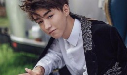 王俊凯经济人爆料视频播放,视频播放背后的惊人真相