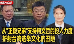 正毅兄弟爆料完整视频,揭秘事件背后真相