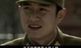 雪豹文章版在线观看40,在线观看40集，揭秘神秘雪域传奇