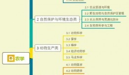校长爆料海参视频大全集,一场关于美食与真相的视觉盛宴