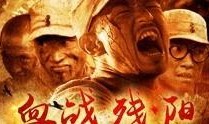 血战残阳在线观看,激情燃烧的抗战岁月
