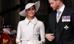 哈里夫妇爆料视频,揭秘幕后黑幕与真实心声