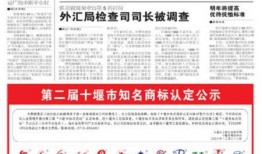 深圳晚报新闻爆料电话,倾听市民心声，守护城市安全