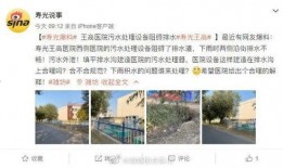 寿光最新爆料消息视频大全,揭秘背后真相