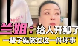 兰姐黑粉爆料视频大全下载,真相与谣言的交织