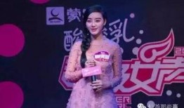 陈砺志爆料范冰冰视频大全,揭秘娱乐圈风云