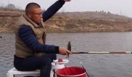 大杨哥钓鱼爆料视频大全,视频大全中的垂钓智慧与技巧