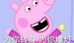 小猪小丰被爆料视频,揭秘娱乐圈背后的惊人真相