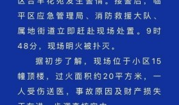 临平新闻爆料事件,揭秘背后真相与影响