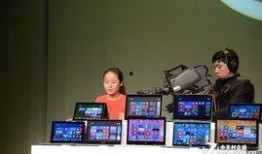 假装娱乐爆料怎么办,揭秘幕后真相与应对策略