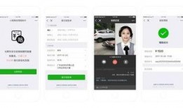 小程序实时爆料揭秘视频