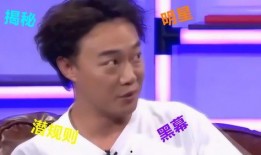 娱乐圈各个明星爆料,揭秘明星背后的故事与真相