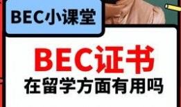 吃瓜爆料小学生视频大全,揭秘小学生吃瓜爆料视频大揭秘