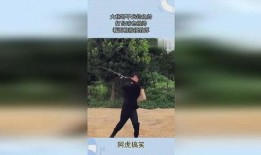 大杨哥钓鱼爆料视频大全,视频大全中的垂钓智慧与技巧