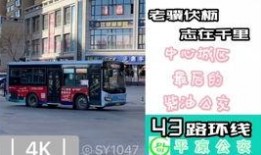 43路 在线观看,穿梭时光的在线观影之旅