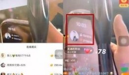 仙家主播爆料视频大全,视频大全背后的惊人真相