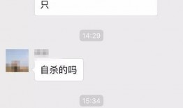 海员真实爆料视频大全集,海员爆料视频大全集深度解析