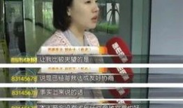 晋江阿香爆料事件视频,揭秘事件背后真相