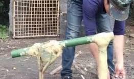 死水爆料视频大全最新,最新视频大全深度解析