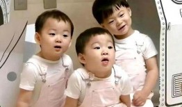 宋家三胞胎最新爆料,揭秘兄弟情深背后的温馨故事