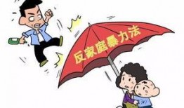 网红家暴事件爆料新闻,真相揭露，网络暴力背后的家庭悲剧