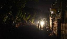 洋槐在线观看,探寻槐花飘香的浪漫之旅