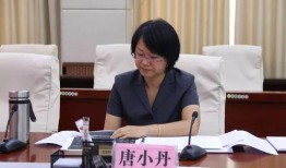 枫丹周本爆料最新消息视频,揭秘游戏新内容与更新动态