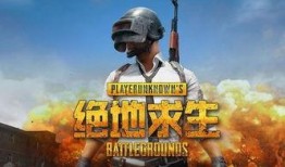 绝地求生视频爆料,揭秘游戏内惊险刺激的全新玩法与内容