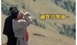 明星姐弟爆料视频大全集,揭秘娱乐圈幕后真相