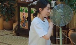 爆料娱乐圈海清,揭秘明星幕后真相