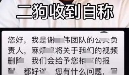 嘎子爆料网红视频,视频爆料背后的惊人真相