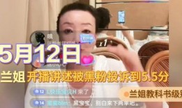 兰姐黑粉爆料视频大全下载,真相与谣言的交织