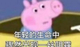 小猪小丰被爆料视频,揭秘娱乐圈背后的惊人真相