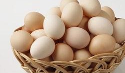 鸡蛋新闻每日爆料