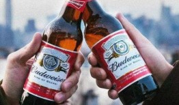 珠江啤酒爆料视频完整版,品牌背后的真实故事与市场策略