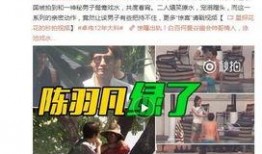 阿诺最新爆料视频播放,精彩瞬间与幕后故事大公开