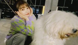 虞书欣娱乐圈爆料